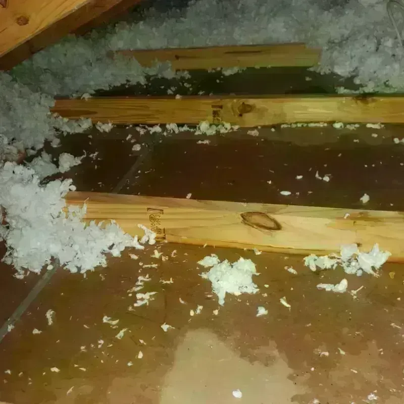 Attic Water Damage in Savanna, IL