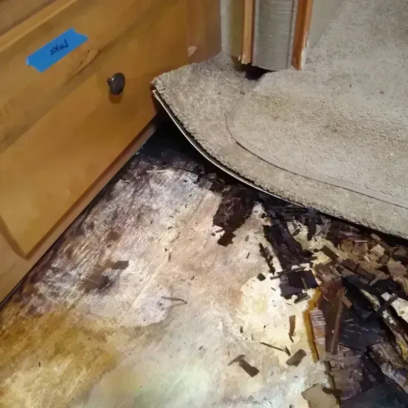 Wood Floor Water Damage in Savanna, IL